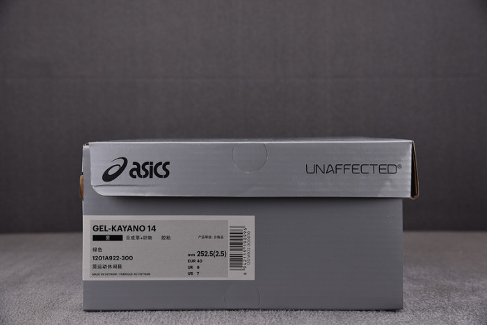 Asics Shoes