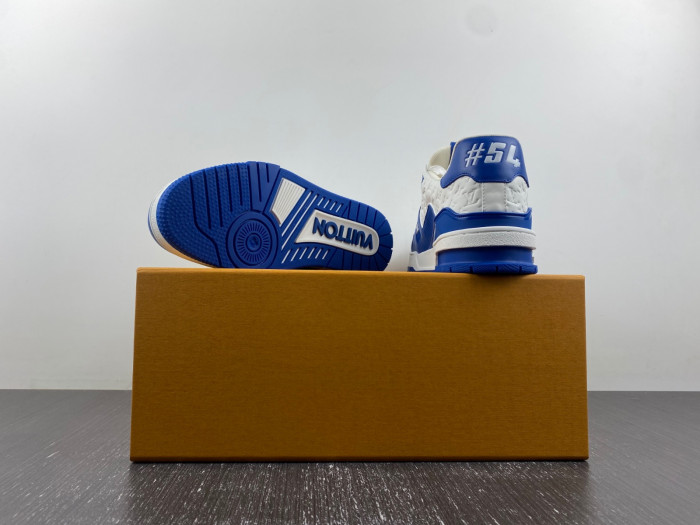 L1VV TRAINER