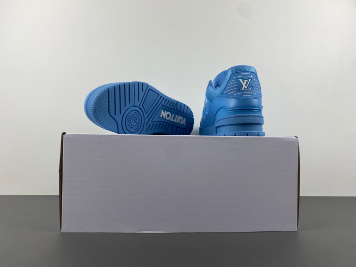 L1VV TRAINER