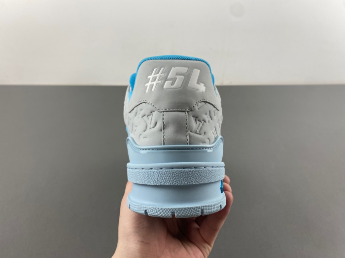 L1VV TRAINER