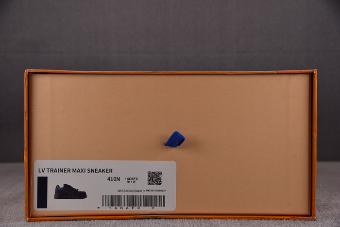 L1VV TRAINER