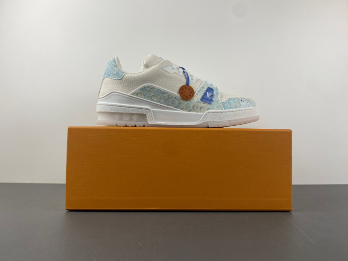 L1VV TRAINER