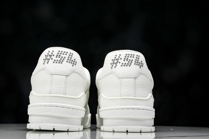 L1VV TRAINER