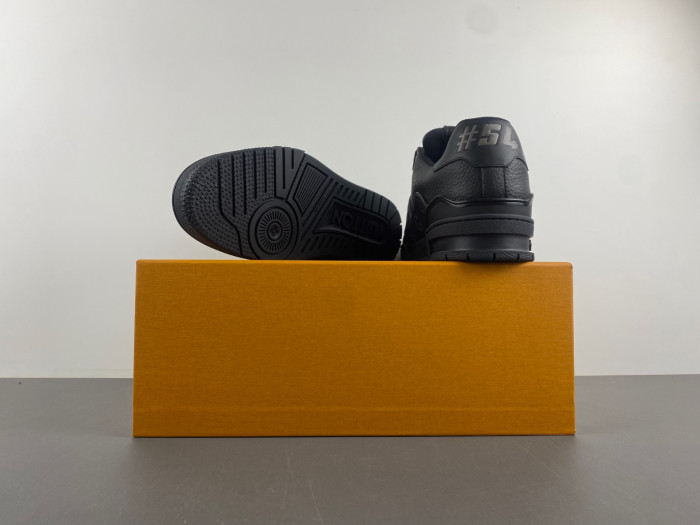 L1VV TRAINER