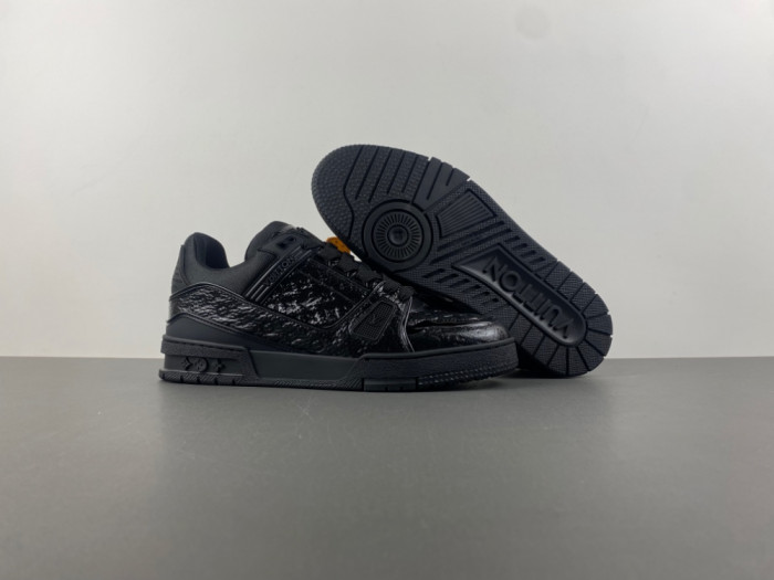 L1VV TRAINER