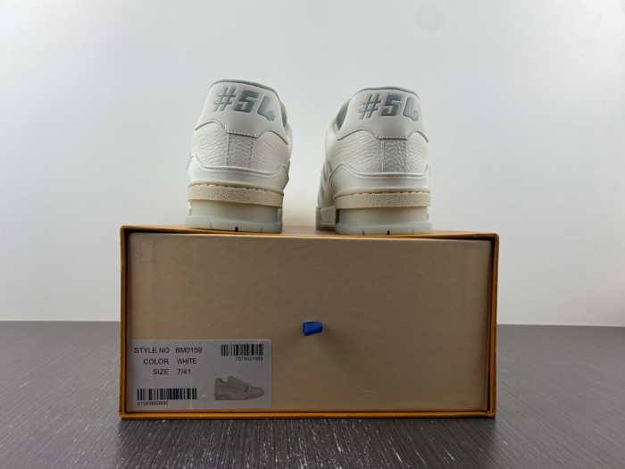 L1VV TRAINER