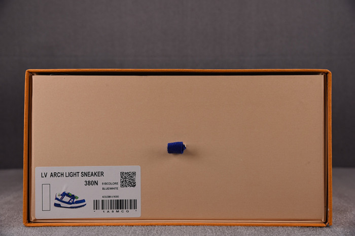 L1VV TRAINER