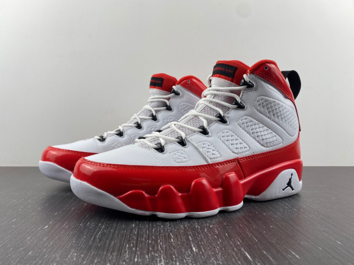 Air Jordan 9 Gym Red 302370-160