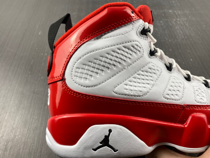 Air Jordan 9 Gym Red 302370-160