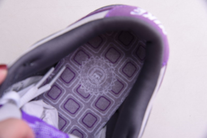 Nike Dunk SB Low Purple Pigeon 304292-051