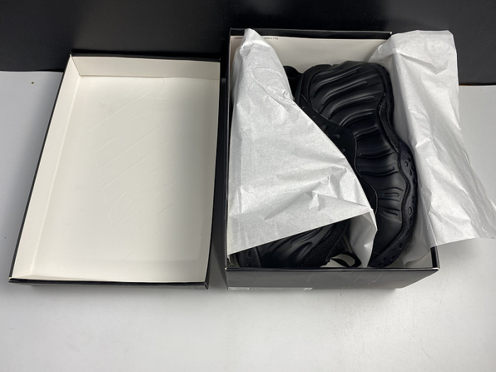 Nike Air Foamposite One 314995-001