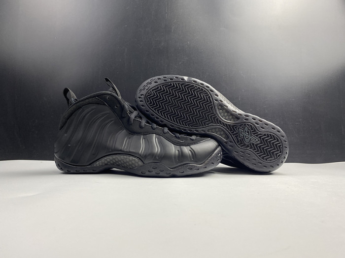 Nike Air Foamposite One 314995-001