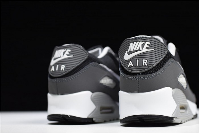 Nike Air Max 90 Essential 537384-032