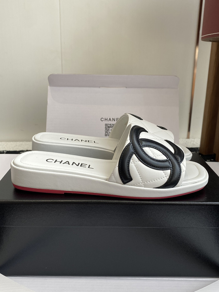 Chane1 Slides