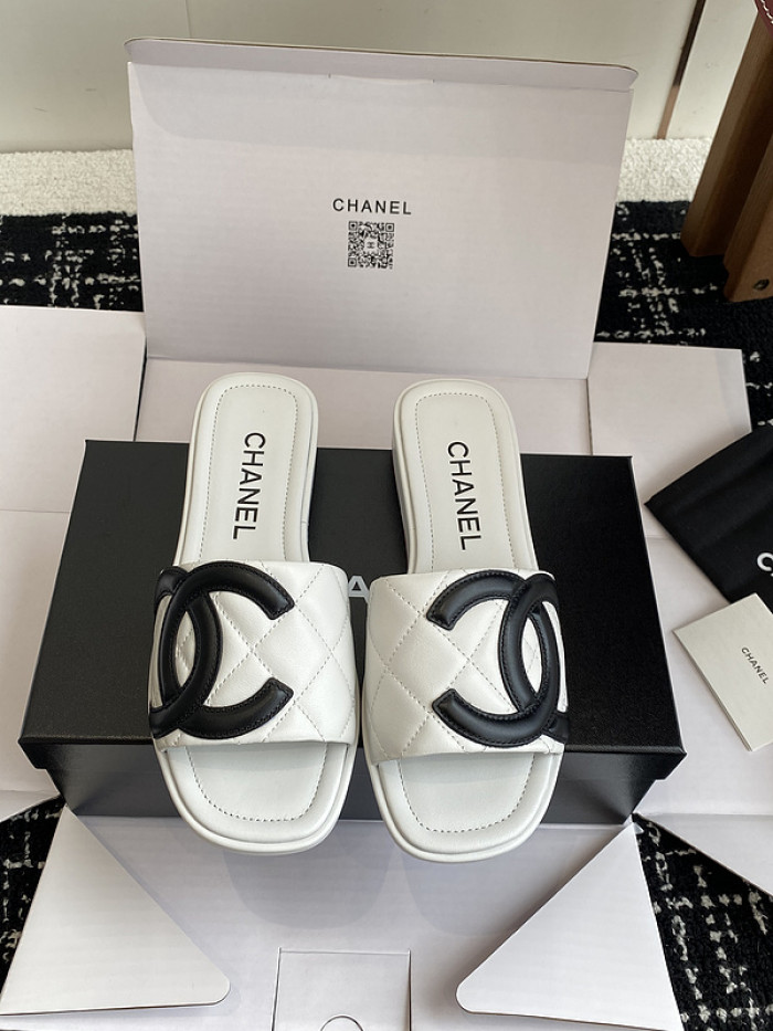 Chane1 Slides