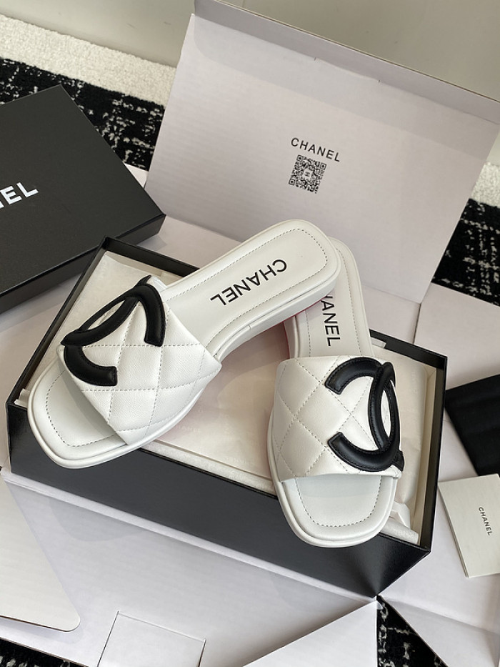 Chane1 Slides