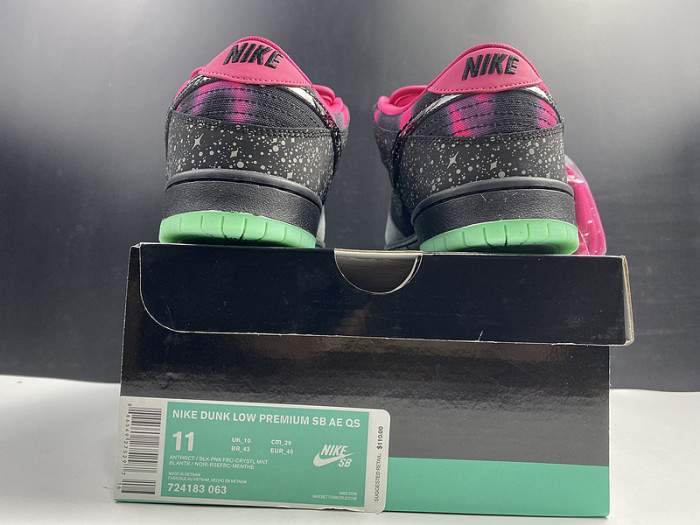 Nike Dunk SB Low Premier "Northern Lights" 724183-063