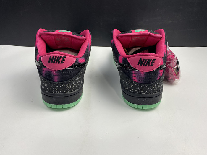 Nike Dunk SB Low Premier "Northern Lights" 724183-063