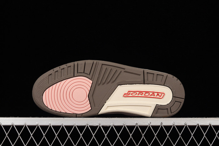 Air Jordan 3 "Neapolitan" CK9246-102