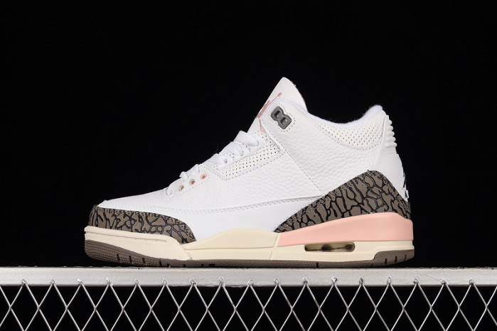 Air Jordan 3 "Neapolitan" CK9246-102