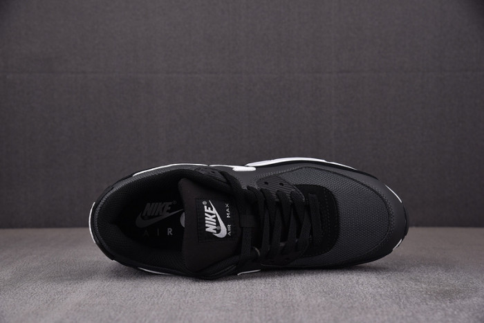 Nike Air Max 90 Iron Grey CN8490-002