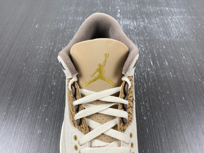 Air Jordan 3 Retro Palomino CT8532-102