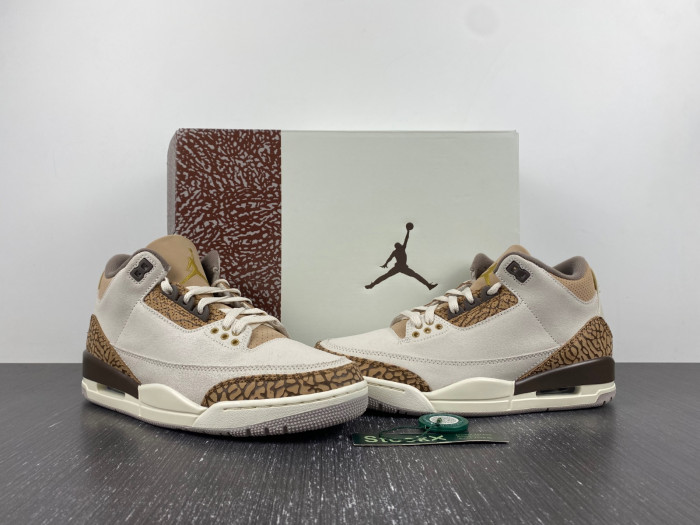 Air Jordan 3 Retro Palomino CT8532-102