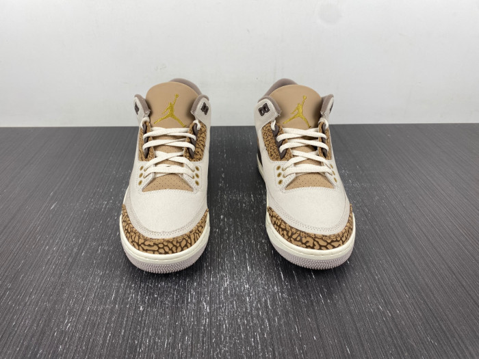 Air Jordan 3 Retro Palomino CT8532-102