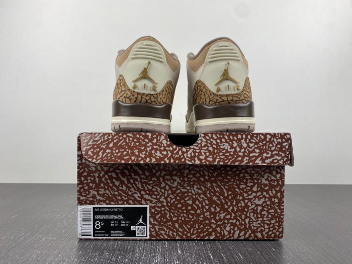Air Jordan 3 Retro Palomino CT8532-102