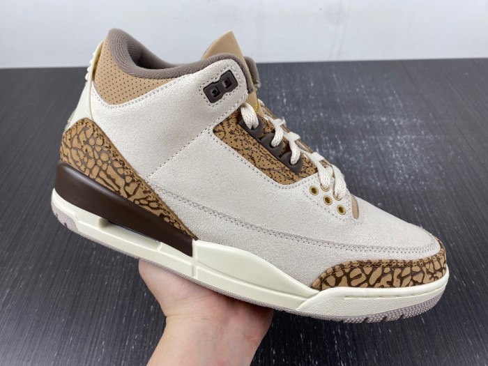 Air Jordan 3 Retro Palomino CT8532-102