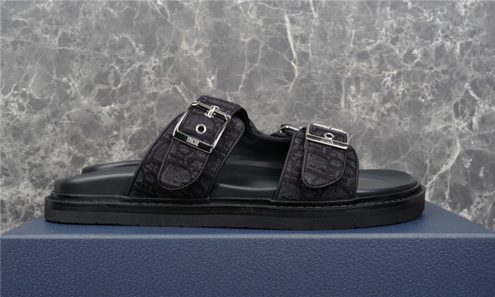 D1OR Slides