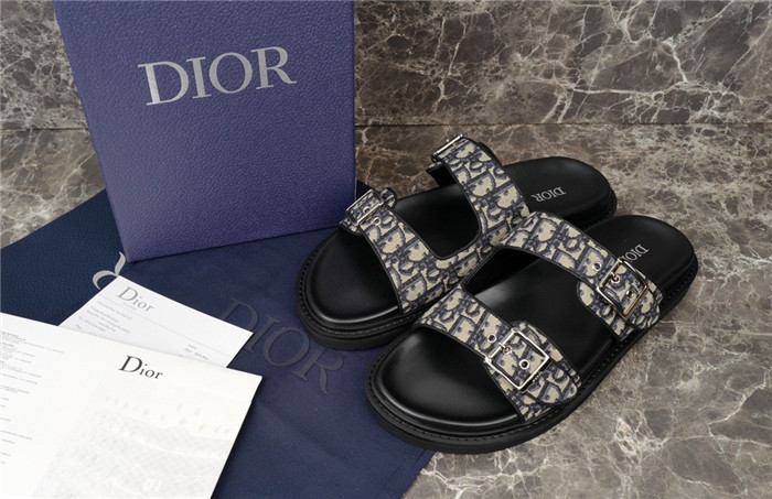 D1OR Slides