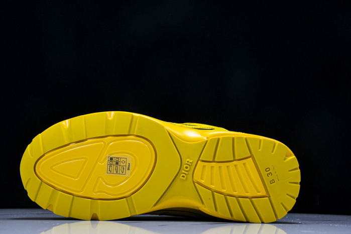 D1OR B30 Sneakers