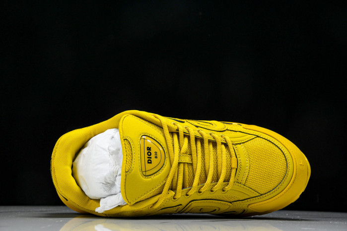 D1OR B30 Sneakers