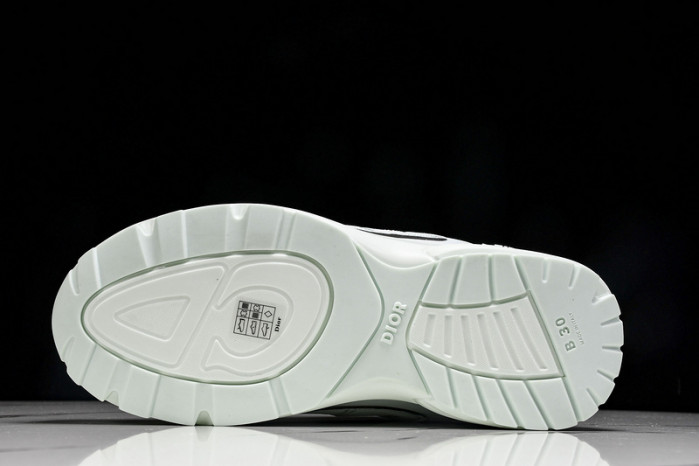 D1OR B30 Sneakers