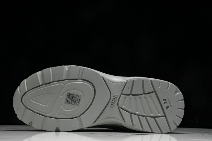 D1OR B30 Sneakers