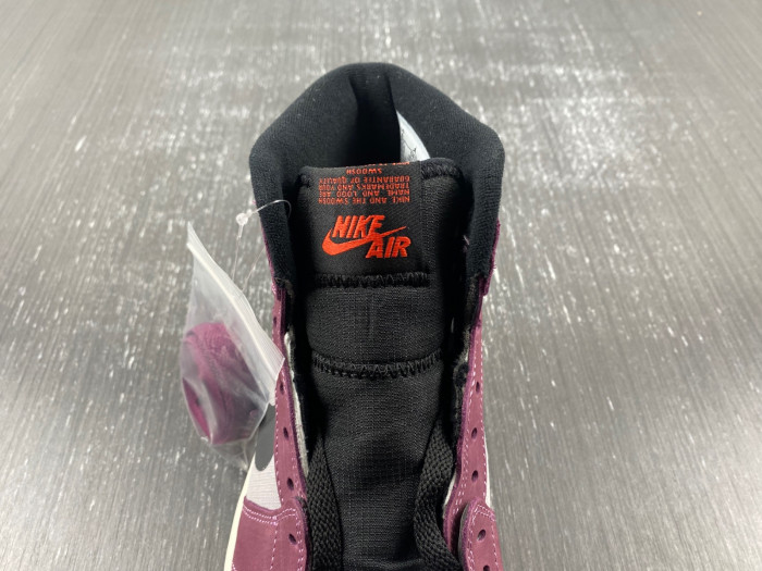 Air Jordan 1 High Element Gore-Tex Berry DB2889-500