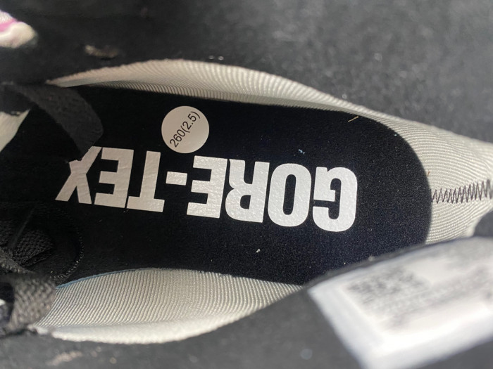 Air Jordan 1 High Element Gore-Tex Berry DB2889-500