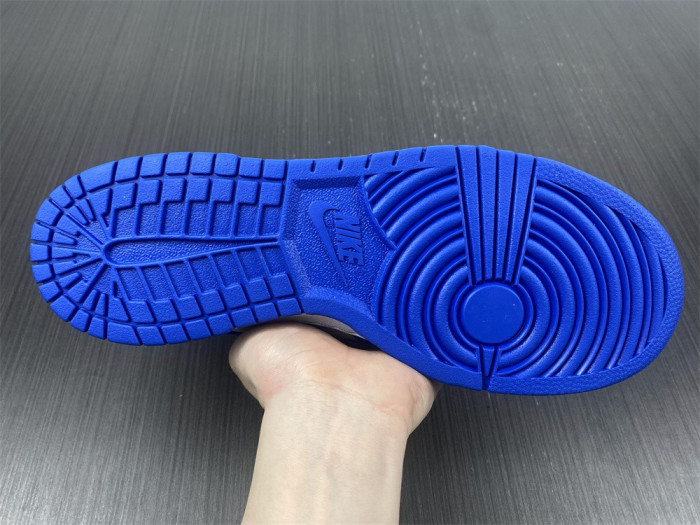 Nike Dunk Low Retro  DD1391-0011