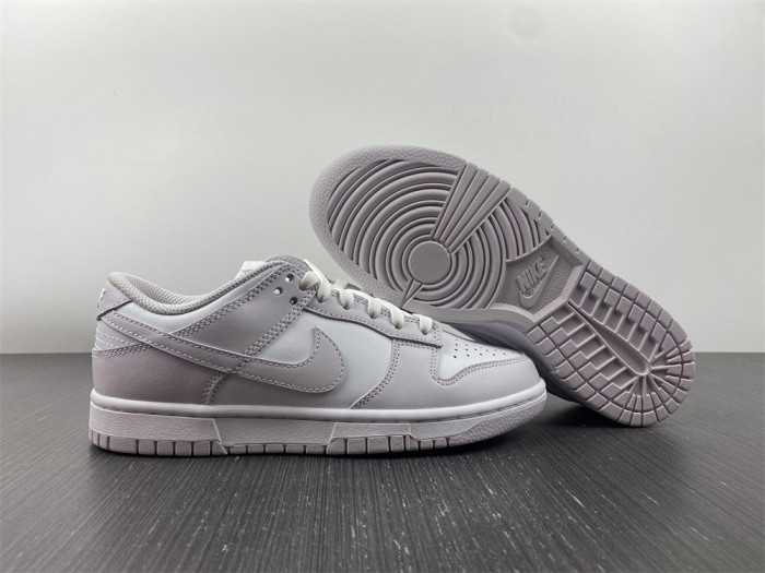 Nike Dunk Low Venice (W) DD1503-116