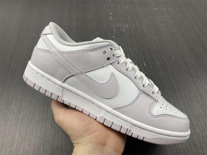 Nike Dunk Low Venice (W) DD1503-116