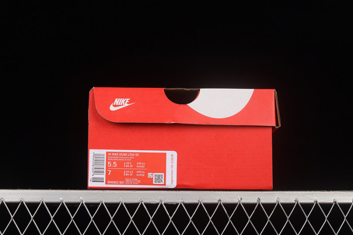Nike Dunk Low RETRO DH0952-0001