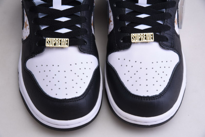 Nike SB Dunk Low DH3228-102