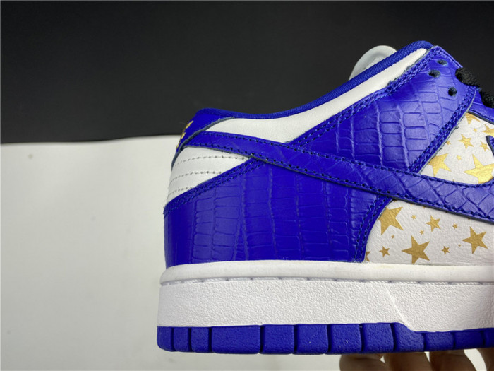 Nike SB Dunk Low DH3228-103
