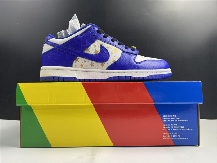 Nike SB Dunk Low DH3228-103