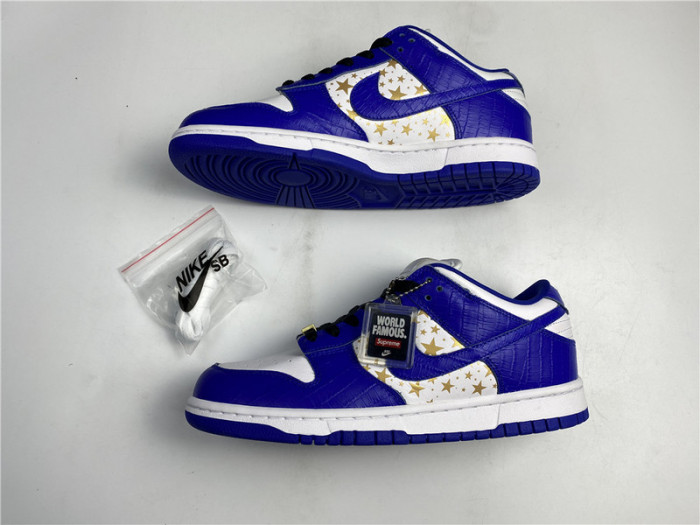 Nike SB Dunk Low DH3228-103