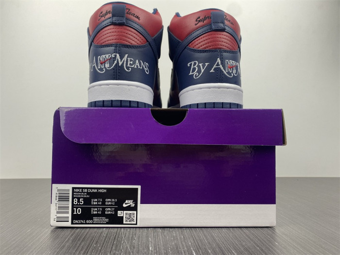 Nike SB Dunk High By Any Means DN3741-600
