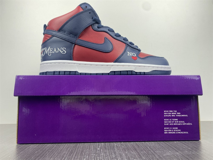 Nike SB Dunk High By Any Means DN3741-600
