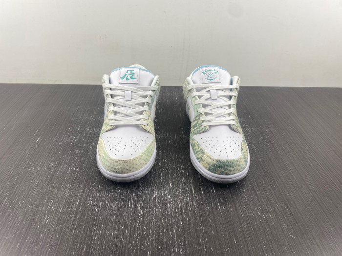 Nike SB Dunk Low DV0831-101