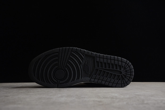 Air Jordan 1 Retro High OG Twist 2.0 DZ2523-001